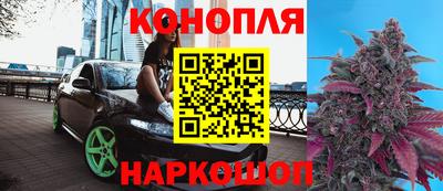 стаф Бугуруслан