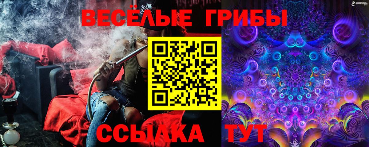 Псилоцибиновые грибы мухоморы  Вход с VPN  Псилоцибиновые грибы Psilocybe  Пушкино 