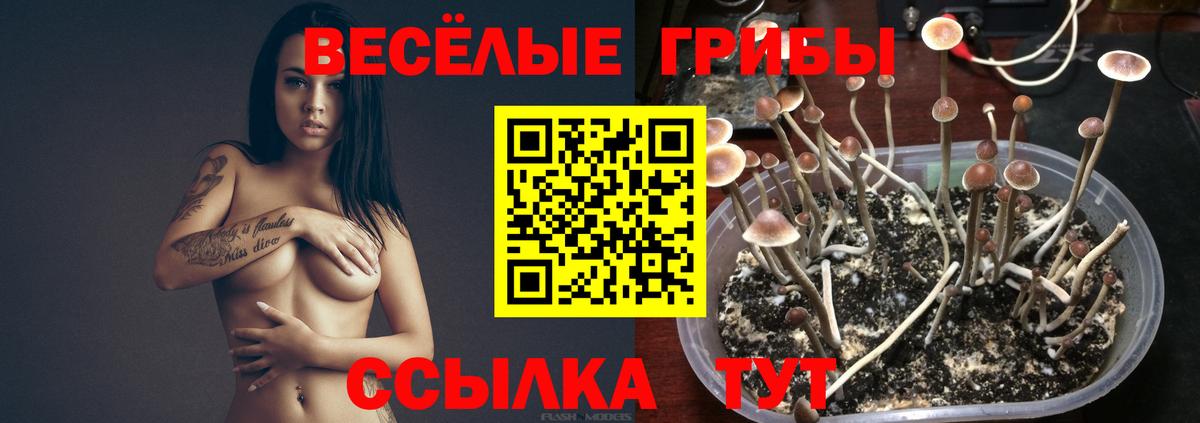Галлюциногенные грибы Magic Shrooms Пушкино